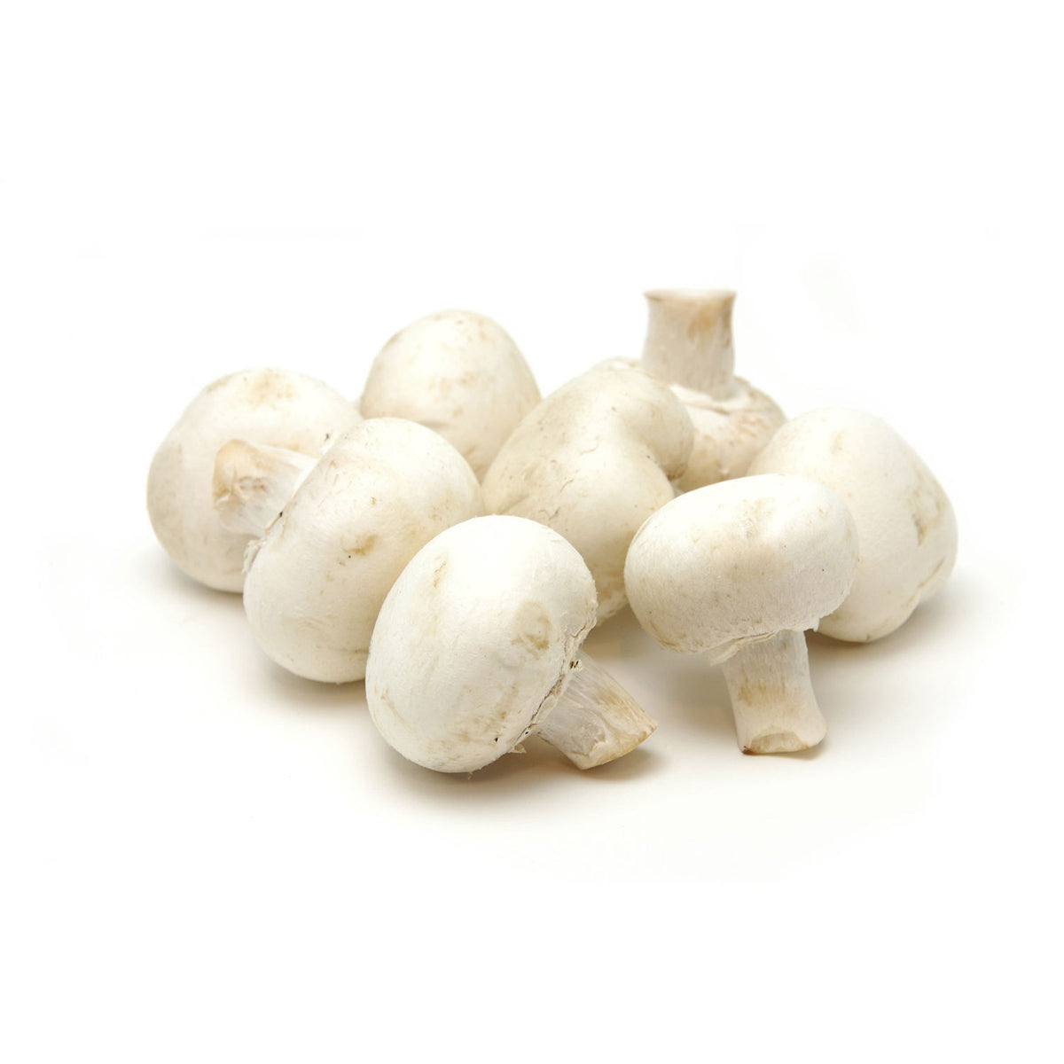White Mushrooms in Port Harcourt