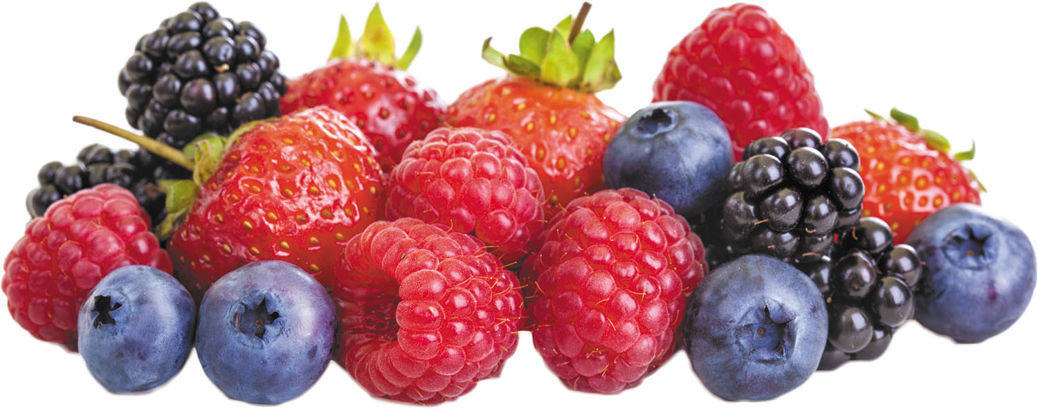 How to Preserve Berries: A Comprehensive Guide
