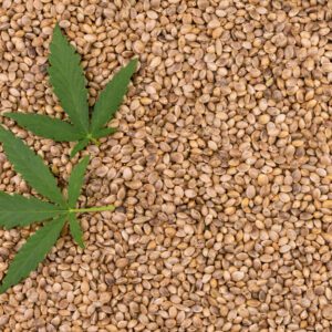hemp seeds in Port Harcourt