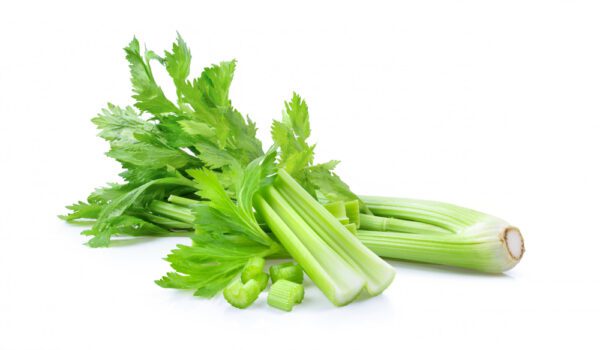 Celery in Port Harcourt