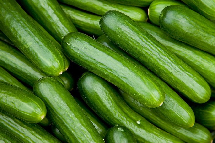 How to Preserve Cucumbers – 4 Proven Tips