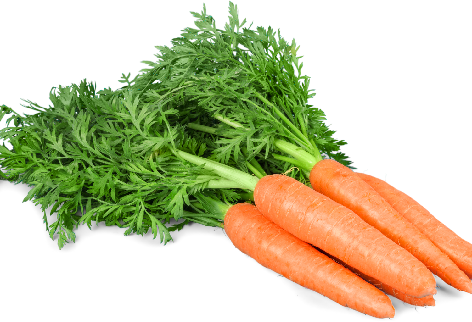 How to Preserve Carrots — 6 Guaranteed Techniques