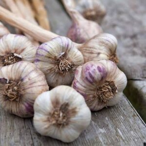 best garlic in Port Harcourt