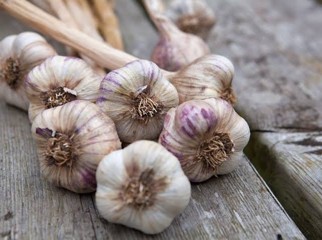 best garlic in Port Harcourt