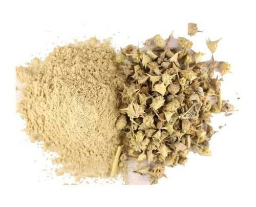 Tribulus terestris (100g)