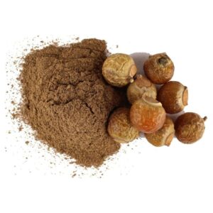 Soapnut powder (100g)