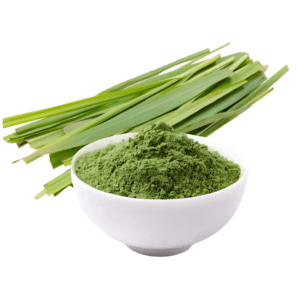 Lemon grass powder 100g
